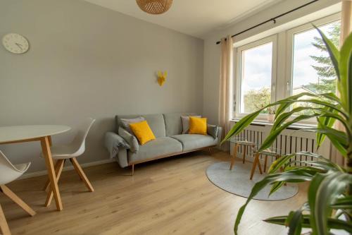Waldshut-Tiengen Apartment | Family-Friendly Löwe Apartment Gelb in Tiengen Altstadt
