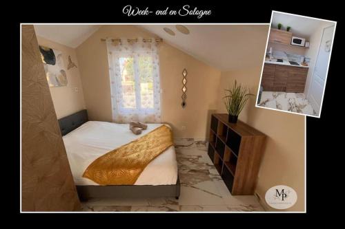 Pruniers-en-Sologne Apartment | L'écrin Bien-Etre-Studio Balnéo