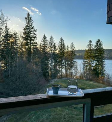 Malbuisson Apartment | L'écrin du Lac St-Point