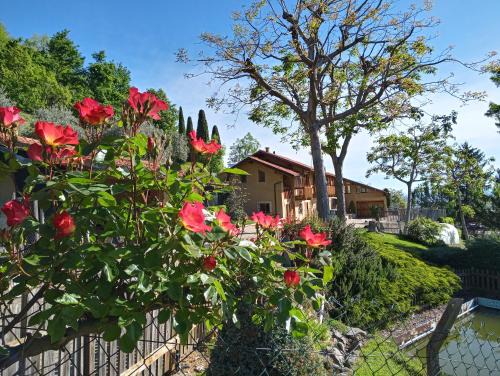 Costigliole Saluzzo Bed & Breakfast | Pet-Friendly L'Albore: Guest Rated 9.1/10 for Families
