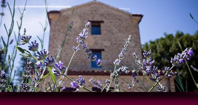 Serra San Quirico House | Pet-Friendly Retreat at L'Alboreto Salvatico Homestay