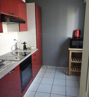 Metz Apartment | Top-Rated L'appart d'Eugénie: Pet & Child Friendly Stay