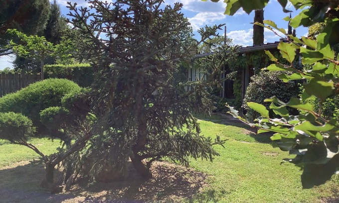 Lorris Cottage | Enchanting L'Atelier: Nature Awaits with Spa & Pool Access