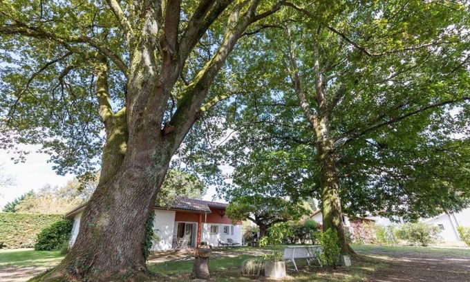 Taller House | Discover L'atelier - Taller Gîte: Family-Friendly Retreat