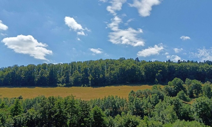 Saint-Philippe Apartment | "L'Emeraude", 4 rooms, in the lush greenery of the Vosges mountains