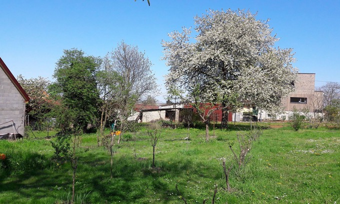 Beblenheim Bed & Breakfast | L'Erable Bed and Breakfast, in the Heart of the Alsace Wine Route!!