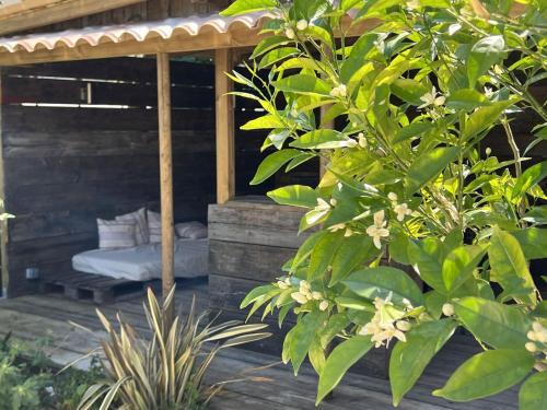 Le Mung Bed & Breakfast | Family-Friendly Retreat at L'escale au Port Miniature