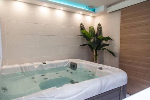 Chateauroux Apartment | Experience L'Escapade: Spa Retreat in the City Center