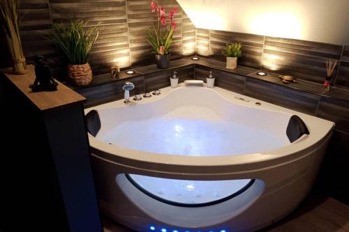 Sainte-Savine Apartment | Relax at L'Evasion... Balnéo - Guest Rated 9.8 & Hot Tub