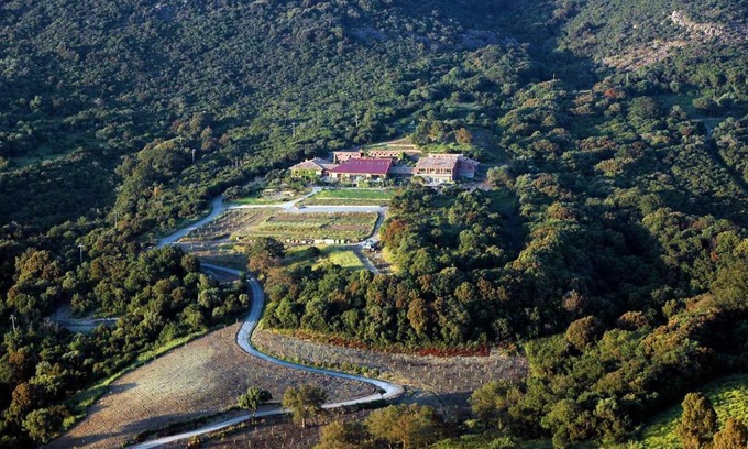 Cerveteri Hotel | Relax at L'Isola Di Rosa - Poolside Retreat with Ocean Views