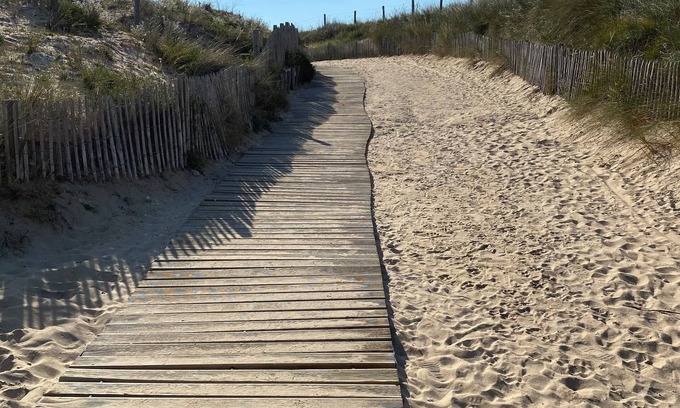 Saint-Georges-d'Oleron House | Experience L'oasis des Tamaris: Pet-Friendly Oceanfront Getaway