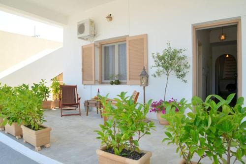 Milos Apartment | Pet-Friendly L'olivier Milos: Oceanfront Bliss Awaits