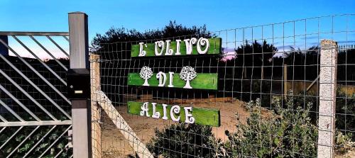 San Leonardo Apartment | Experience L'ulivo di Alice: Pet-Friendly Retreat & Hot Tub