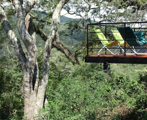 Raco House | Discover LA AGÜITA PERDIDA: Pet-Friendly Paradise