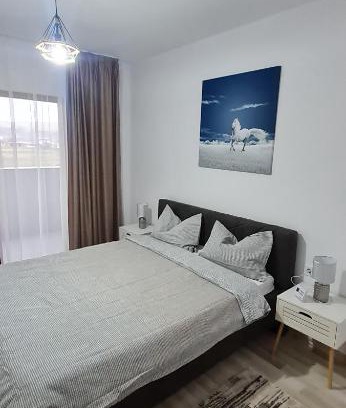 Bistrita Apartment | Family-Friendly Retreat at La Andrei with 9.5/10 Rating