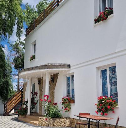 Cimislia District Hotel | Pet-Friendly La Banel Hotel with 9.3/10 Guest Rating