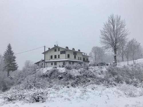 Le Tagliole Hotel | Charming La Buca delle Fate: Pet-Friendly with Great Breakfast