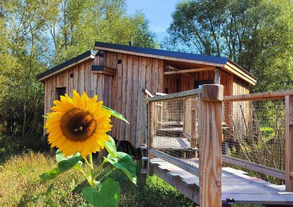 Sainte-Ode Cabin | Guest Rated 10/10: La Cabane d'Ode with Hot Tub & Kitchen
