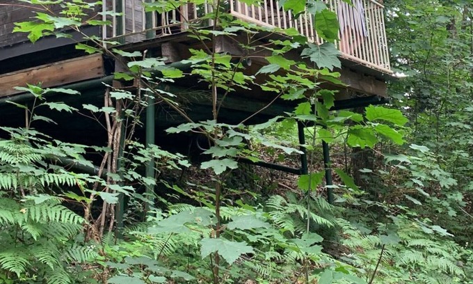 Favars Ski Chalet | La Cabane Dans la Fôret