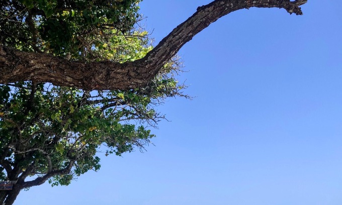Tierra Bomba Island Bed & Breakfast | Discover La Caracola Cartagena: Family-Friendly Retreat