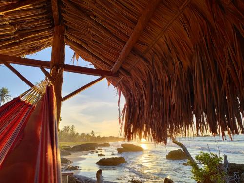 San Bernardo del Viento Hotel | Cozy La Casa del Mar: Pet-Friendly Oceanfront Retreat