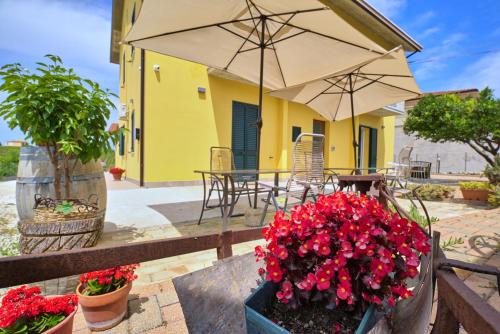 Tollo Bed & Breakfast | Unforgettable Stay at la Casa del Vino - B&B, Rated 10/10
