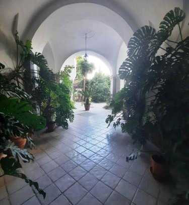 Meta House | Family-Friendly Stay at La casa delle Camelie Hotel