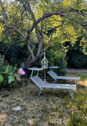 Riparbella House | La Casa di Lella: Pet-Friendly Retreat Near the Beach