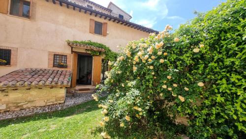 Bovara House | Guest Rated 10/10 at La Casa di LucaPietro Dimora Storica