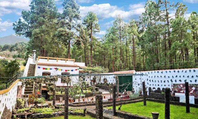Icod de los Vinos House | Kid-Friendly Getaway at La Casa Encantada del Bosque