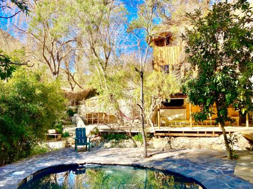 Monte Grande House | Experience La Casa entre los Árboles with Ocean View and Pool