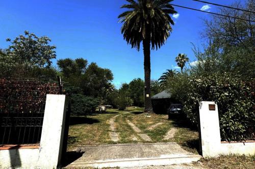 Gualeguaychu House | La casa quinta de Camino