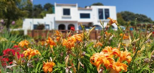 Te Puru Cabin | Ocean View Escape at La Casa Te Puru Lodge - Rated 9/10