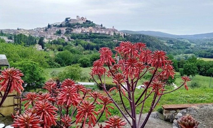 Amelia Apartment | LA CASINA Panoramic apartment in the countryside very close to the village