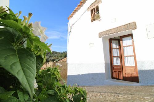 Cortelazor House | Pet-Friendly Retreat at La Casita del Chopo by SIERRA VIVA