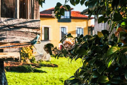 El Manto Hotel | Highly Rated La Casona de Faedo with Family-Friendly Amenities