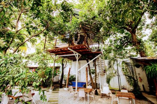 Santa Fe Hotel | Experience La Casona de Sara: 5-Star, Pet-Friendly Retreat