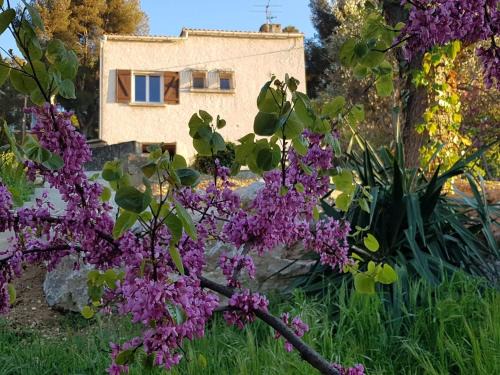 La Panouse Villa | Oceanfront La Champanel Maison with Spectacular Views