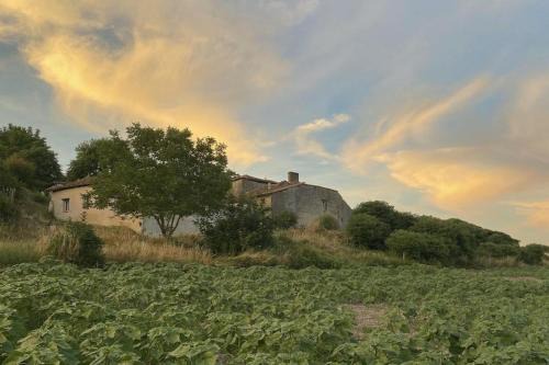 Salles-Lavalette House | Discover La Chaumière: Oceanfront Bliss Awaits You
