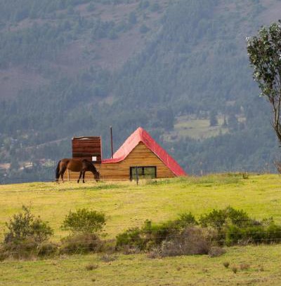 Tibasosa House | la cima de los frailejones