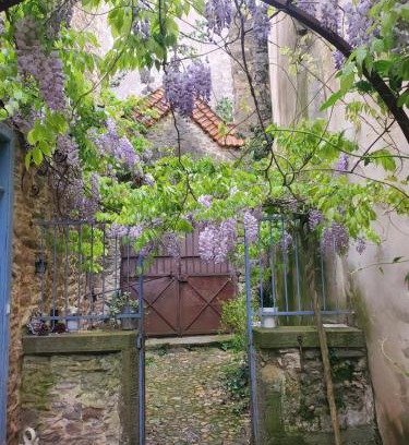 Conques-sur-Orbiel House | La Concha 1