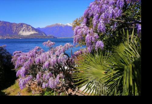 Pallanza Apartment | Family-Friendly La Corte di Suna - Guest Rated 9.3/10
