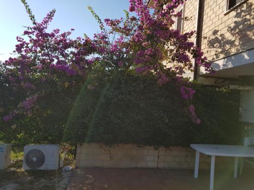Bucchianico Apartment | Oceanfront Escape at La Culla del Conte: Pet-Friendly Stay