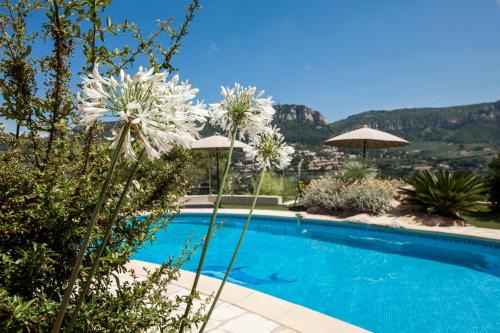 Cassis Bed & Breakfast | Discover La Demeure Insoupçonnée: Oceanfront Bliss Awaits