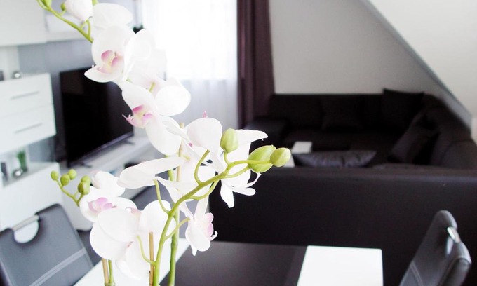 Lotte Apartment | Premium Oceanfront Stay at La Domus in Osnabrück Lotte