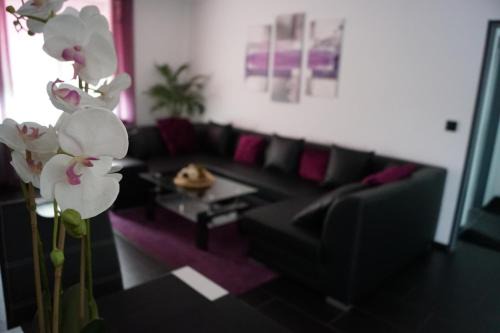 Lotte Apartment | Discover Family-Friendly Comfort at La Domus Superior