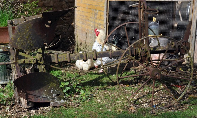 Evry Other | Guest Rated: 9.8 - La Ferme de Flo' Double or Twin Room