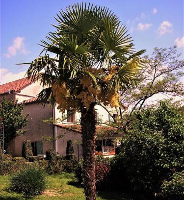 Berganty Bed & Breakfast | Cozy LA FERME JARLAN: Oceanfront, Pet-Friendly Retreat