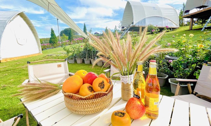Bao Lam Resort | Discover La Fleur Glamping Bao Loc - Family-Friendly Retreat