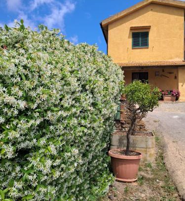 Porto Ercole Apartment | La Ghiandaia